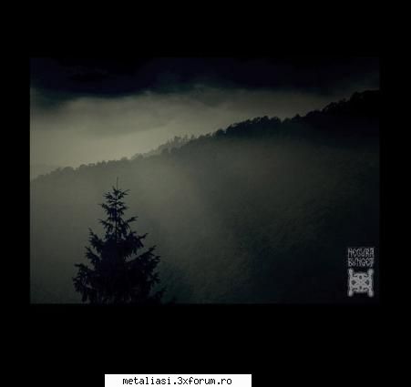 Poze care merita vazute - sa vedem ce va iesi... aici as dori sa postati - Poze & Imagini
